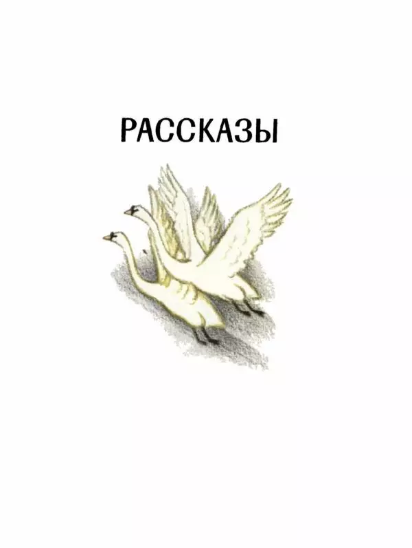 Сергей Воронин - Рассказы и сказки - Страница № 10