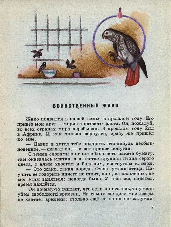 Сергей Воронин - Рассказы и сказки - Страница № 12