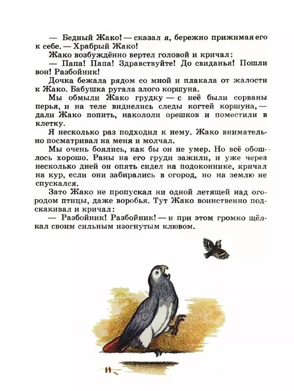 Сергей Воронин - Рассказы и сказки - Страница № 21
