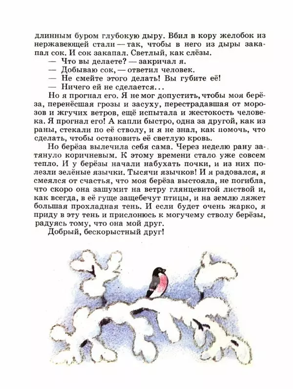 Сергей Воронин - Рассказы и сказки - Страница № 27