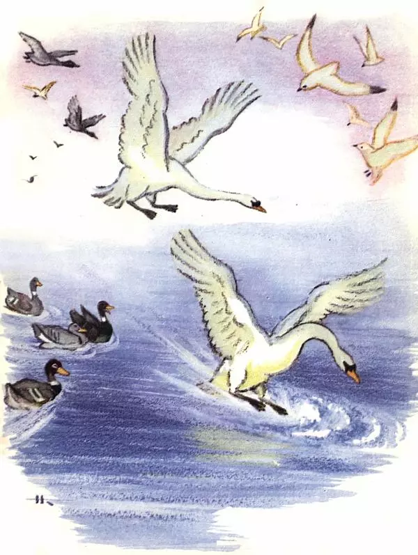 Сергей Воронин - Рассказы и сказки - Страница № 30