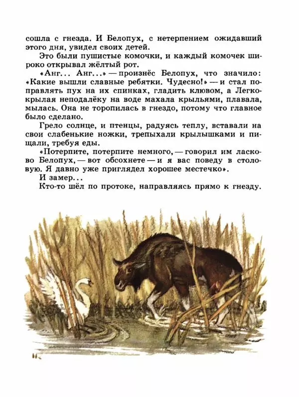 Сергей Воронин - Рассказы и сказки - Страница № 34