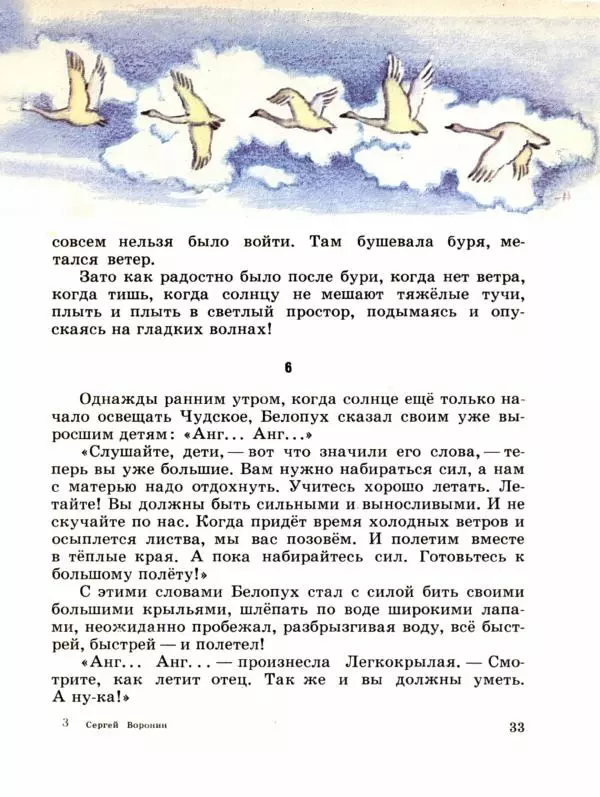Сергей Воронин - Рассказы и сказки - Страница № 38