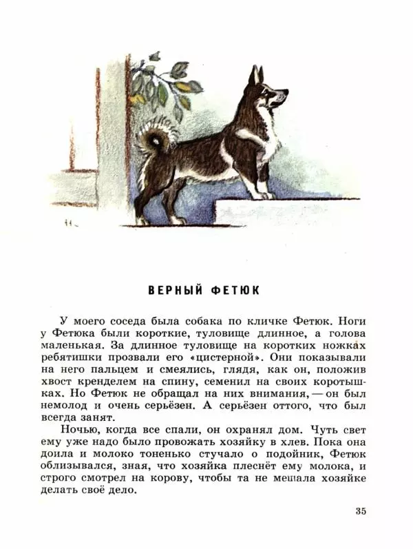 Сергей Воронин - Рассказы и сказки - Страница № 40