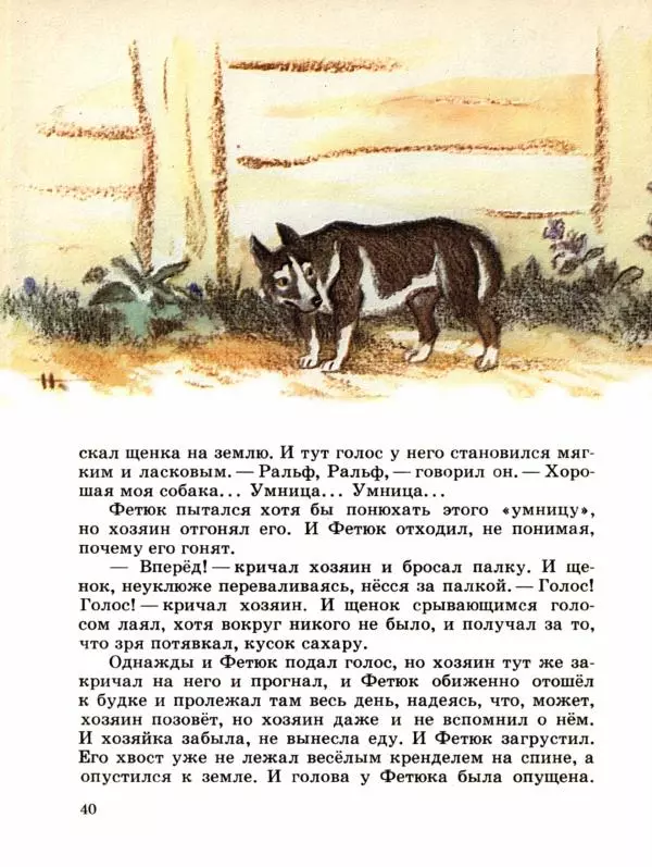 Сергей Воронин - Рассказы и сказки - Страница № 45