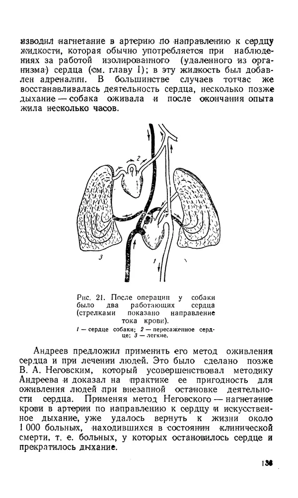 Владимир Зеленин - Как укрепить сердце - Страница № 134
