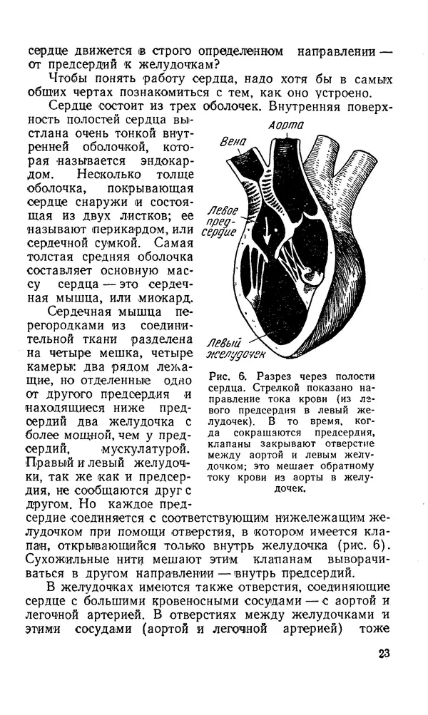 Владимир Зеленин - Как укрепить сердце - Страница № 24