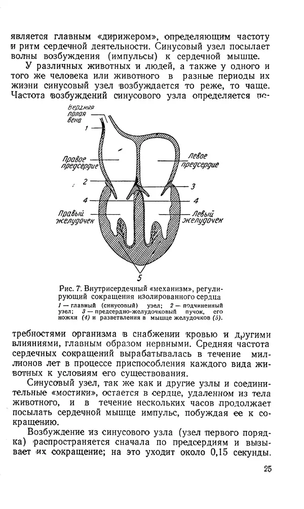 Владимир Зеленин - Как укрепить сердце - Страница № 26
