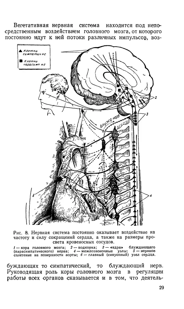 Владимир Зеленин - Как укрепить сердце - Страница № 30