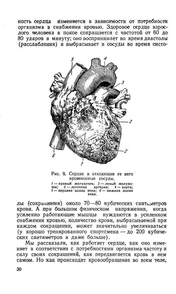 Владимир Зеленин - Как укрепить сердце - Страница № 31