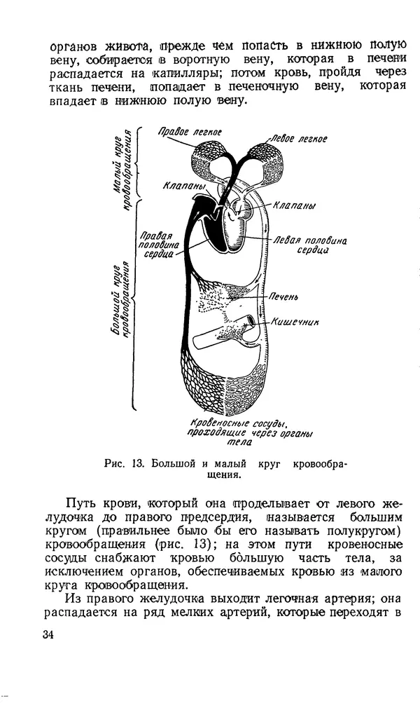 Владимир Зеленин - Как укрепить сердце - Страница № 35