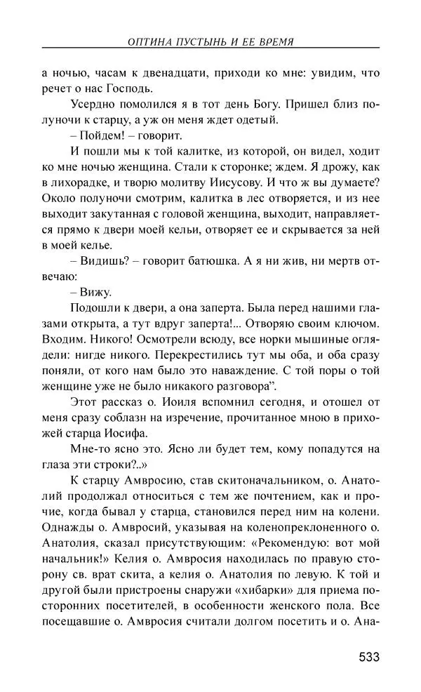 Иван Концевич - Стяжание Духа Святого - Страница № 534