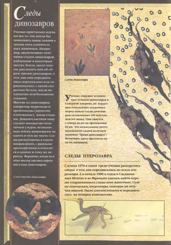 Дэвид Анвин - Динозавры - Страница № 12