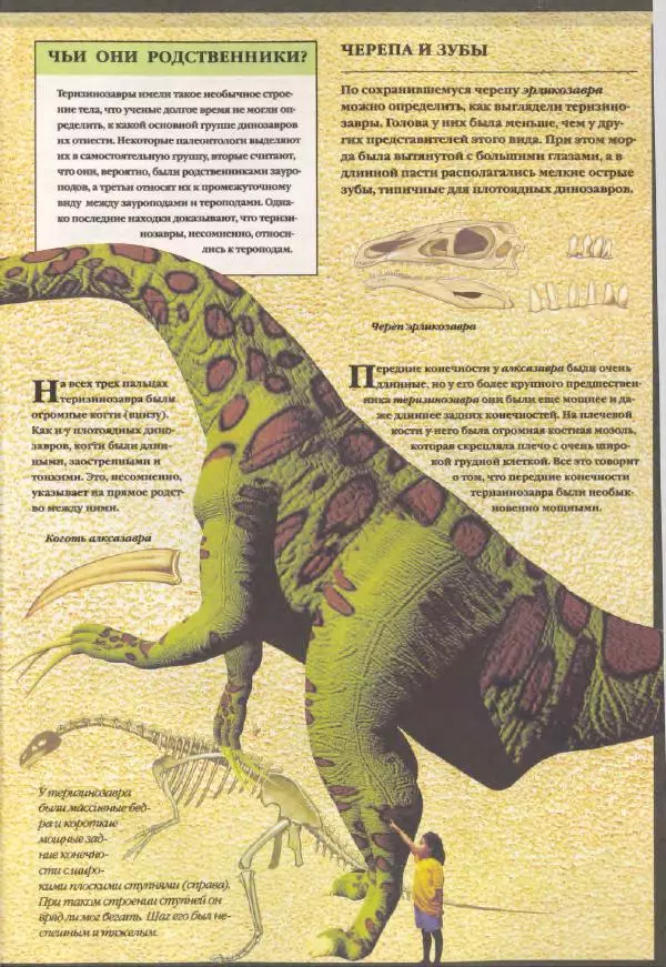 Дэвид Анвин - Динозавры - Страница № 23