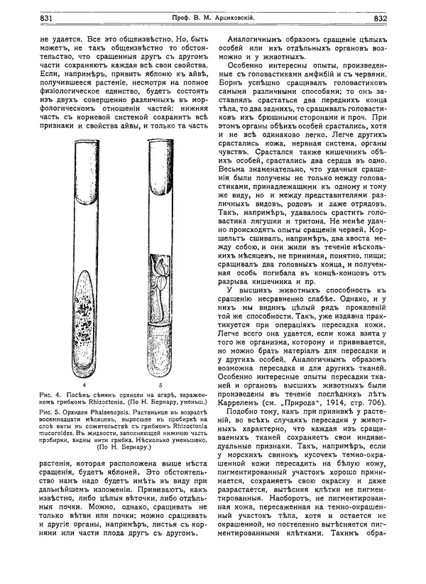  журнал «Природа» - Природа 1916 №07-08 - Страница № 31