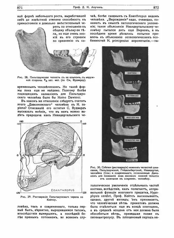  журнал «Природа» - Природа 1916 №07-08 - Страница № 51