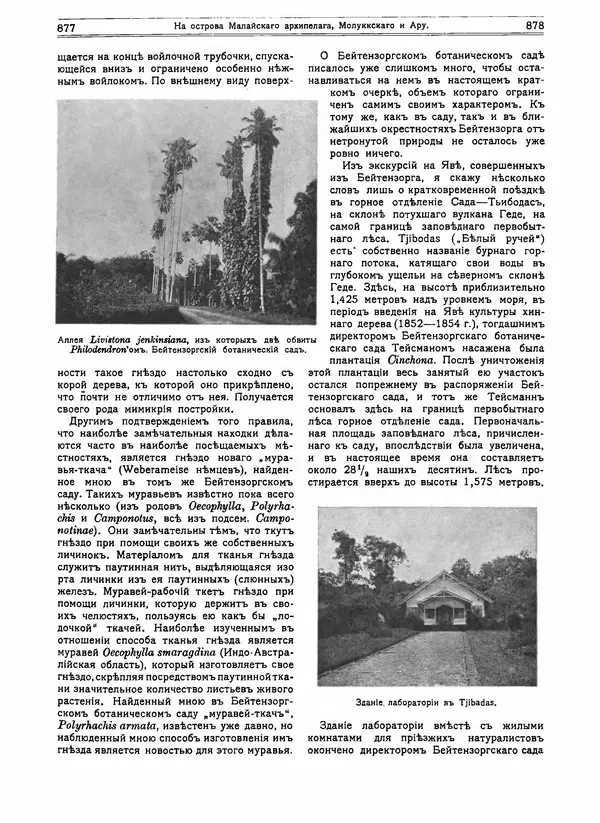  журнал «Природа» - Природа 1916 №07-08 - Страница № 54