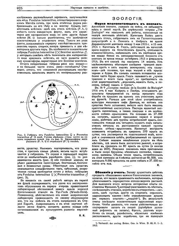  журнал «Природа» - Природа 1916 №07-08 - Страница № 78