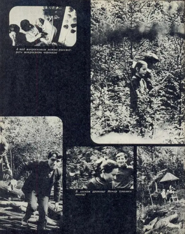  журнал «Семья и школа» - Семья и школа 1973 №08 - Страница № 6