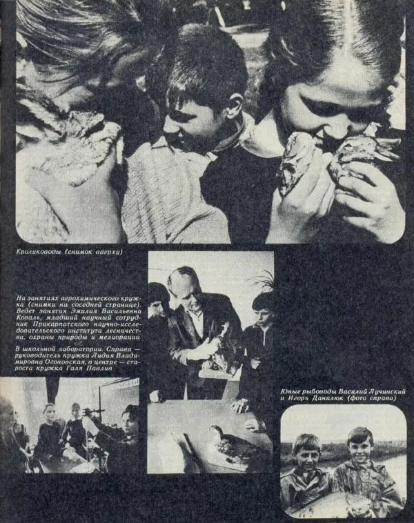  журнал «Семья и школа» - Семья и школа 1973 №08 - Страница № 13