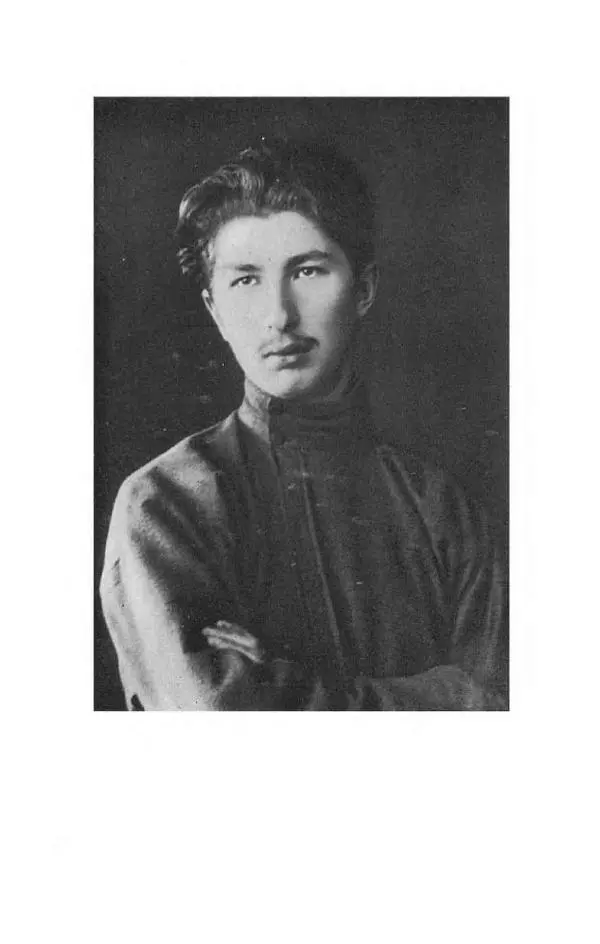 Сергей Городецкий - Стихотворения и поэмы - Страница № 325