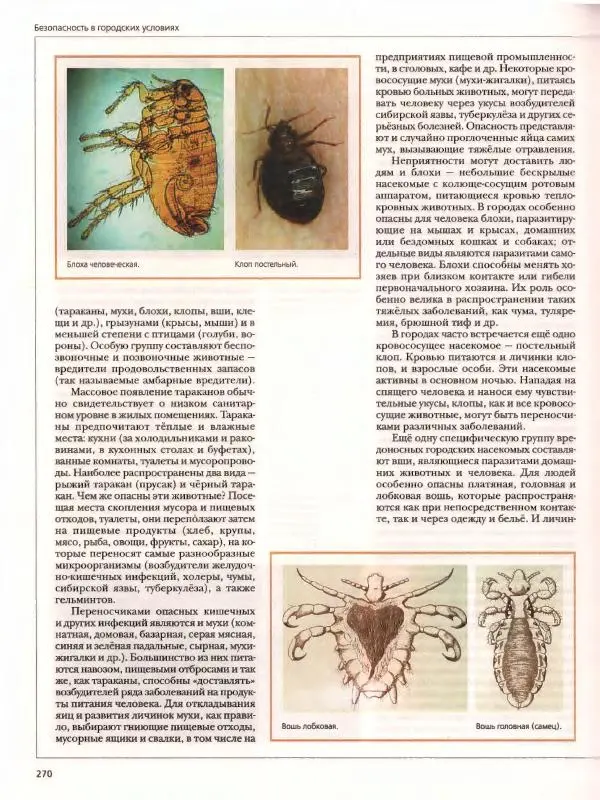  Энциклопедия для детей Аванта+ - Энциклопедия для детей. Том дополнительный. Личная безопасность - Страница № 274