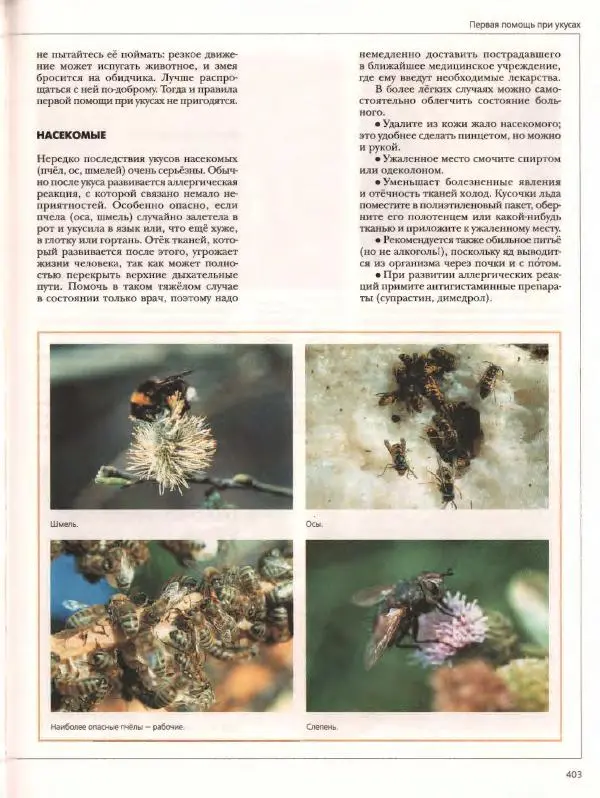  Энциклопедия для детей Аванта+ - Энциклопедия для детей. Том дополнительный. Личная безопасность - Страница № 407
