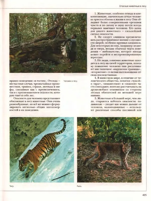  Энциклопедия для детей Аванта+ - Энциклопедия для детей. Том дополнительный. Личная безопасность - Страница № 409