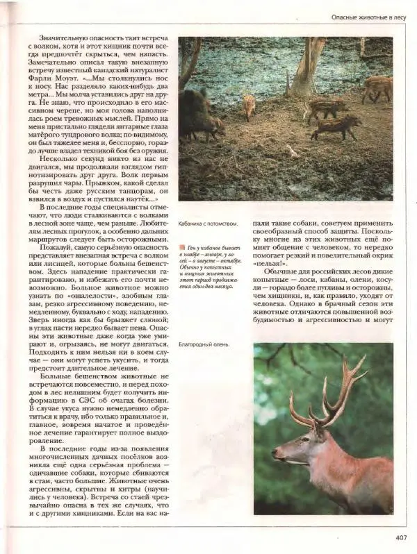  Энциклопедия для детей Аванта+ - Энциклопедия для детей. Том дополнительный. Личная безопасность - Страница № 411