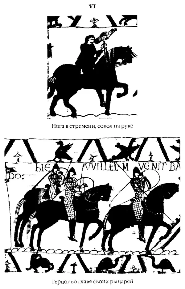 Доминик Бартелеми - Рыцарство. От древней Германии до Франции XII в - Страница № 329