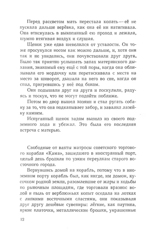 Федор Кнорре - Солёный пёс - Страница № 12