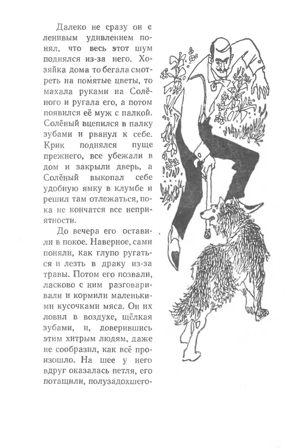 Федор Кнорре - Солёный пёс - Страница № 33