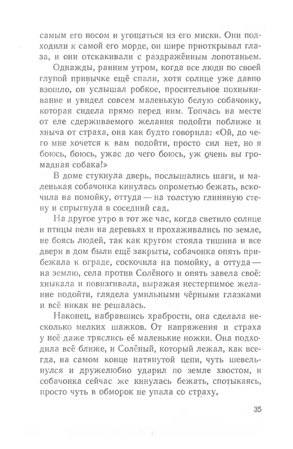 Федор Кнорре - Солёный пёс - Страница № 35
