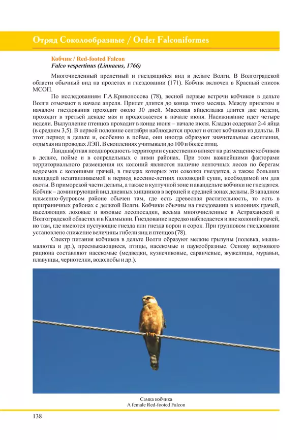 Герман Русанов - Птицы Нижней Волги - Страница № 138