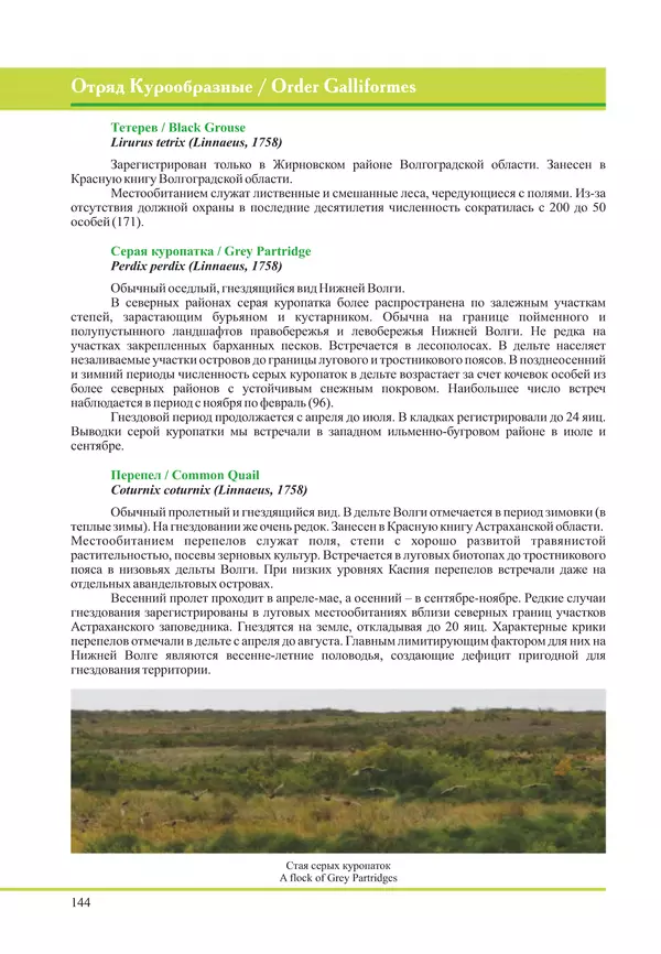 Герман Русанов - Птицы Нижней Волги - Страница № 144