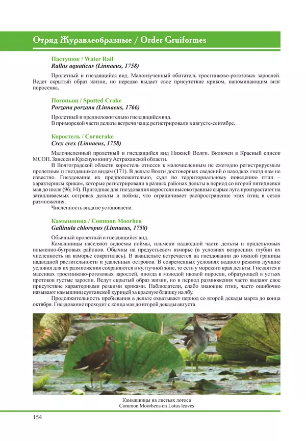 Герман Русанов - Птицы Нижней Волги - Страница № 154