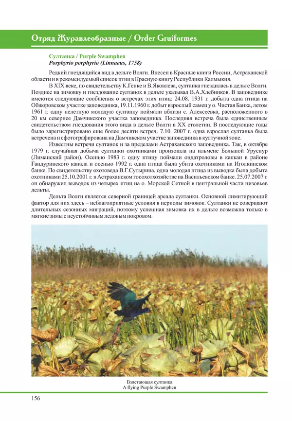 Герман Русанов - Птицы Нижней Волги - Страница № 156