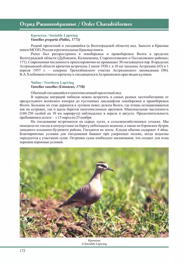 Герман Русанов - Птицы Нижней Волги - Страница № 172