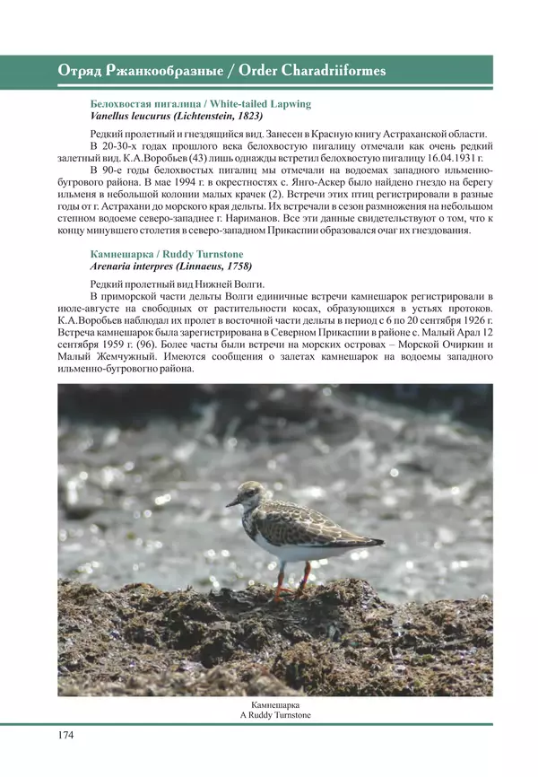 Герман Русанов - Птицы Нижней Волги - Страница № 174