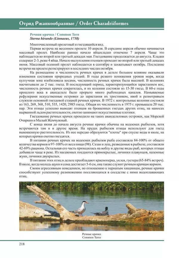 Герман Русанов - Птицы Нижней Волги - Страница № 218