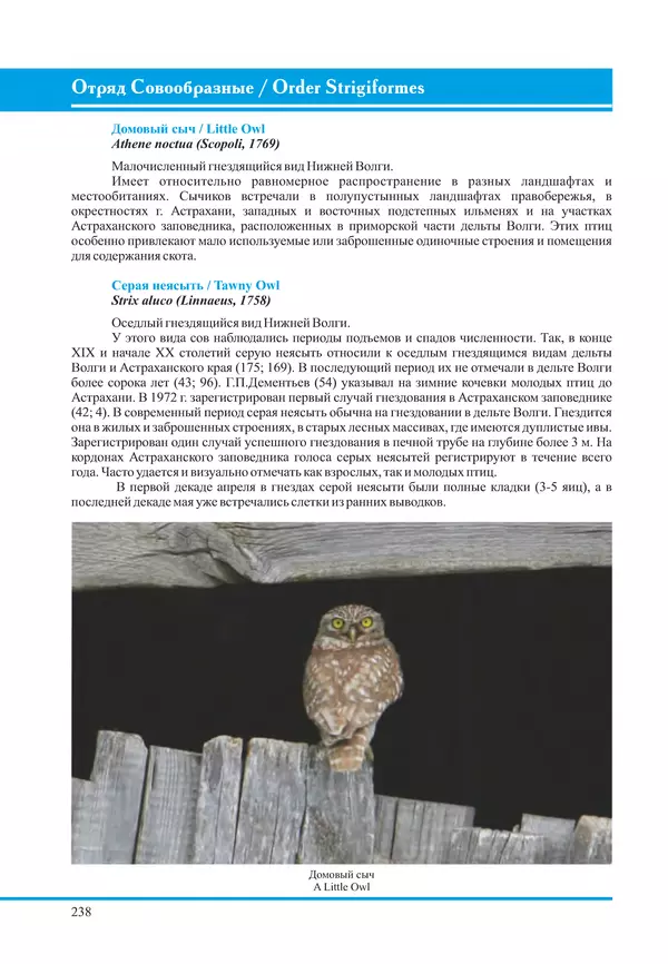 Герман Русанов - Птицы Нижней Волги - Страница № 238