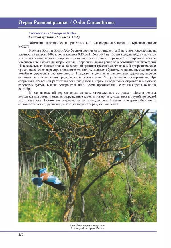 Герман Русанов - Птицы Нижней Волги - Страница № 250