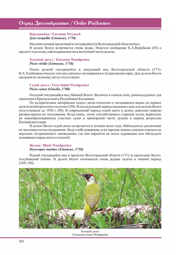 Герман Русанов - Птицы Нижней Волги - Страница № 262