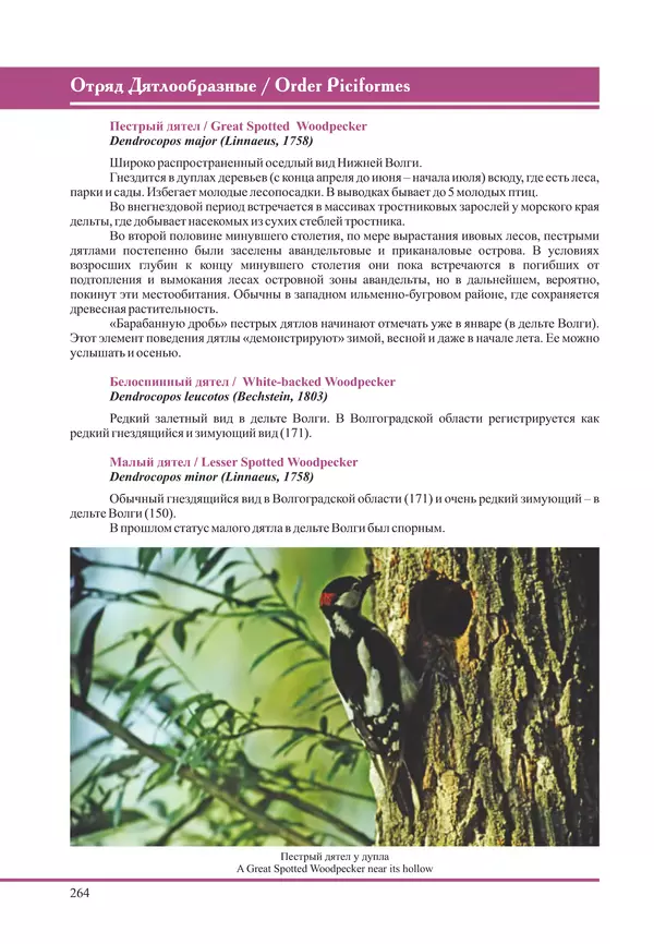 Герман Русанов - Птицы Нижней Волги - Страница № 264