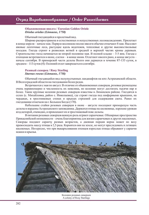 Герман Русанов - Птицы Нижней Волги - Страница № 282