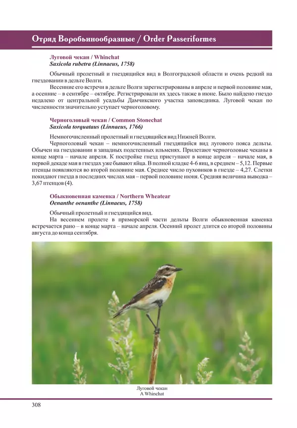 Герман Русанов - Птицы Нижней Волги - Страница № 308