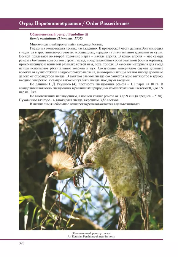 Герман Русанов - Птицы Нижней Волги - Страница № 320