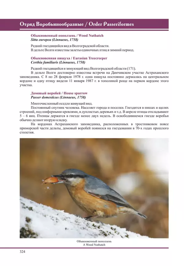 Герман Русанов - Птицы Нижней Волги - Страница № 324