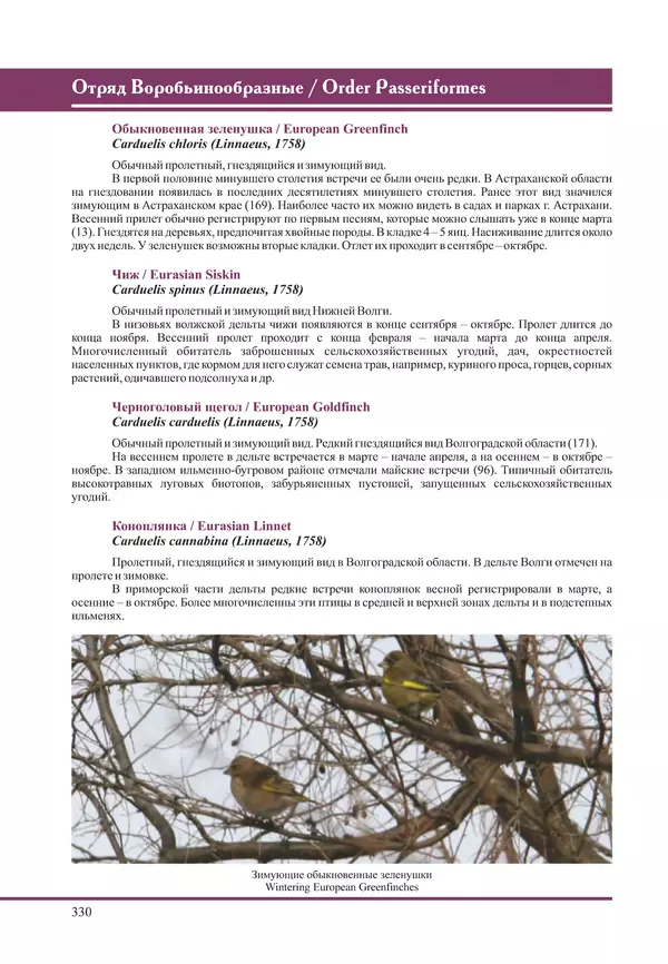 Герман Русанов - Птицы Нижней Волги - Страница № 330