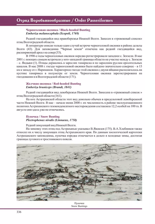 Герман Русанов - Птицы Нижней Волги - Страница № 336